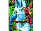 stramien papegaaien bij waterval