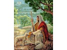 stramien goede herder