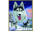 stramien collage wolven