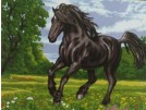stramien + garenpakket, zwarte hengst in galop