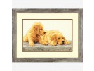 borduurpakket golden retriever pups