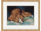 borduurpakket slapende hond