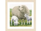 borduurpakket schaap met lammetjes