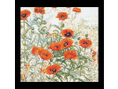 borduurpakket papavers oranje