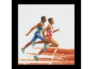 borduurpakket hardlopen