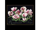 borduurpakket rembrandttulpen op zwart