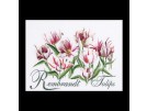 borduurpakket rembrandttulpen