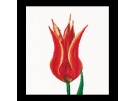 borduurpakket tulp-2