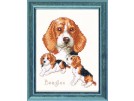 borduurpakket beagles