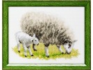 borduurpakket schaap met lammetje