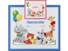 borduurpakket geboorte alexander/paulien (incl. blauw/rose garen)
