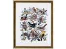 borduurpakket collage vogels