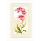 borduurpakket orchideeën