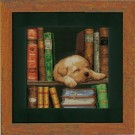 borduurpakket hond in de boekenkast