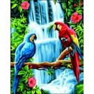 stramien papegaaien bij waterval