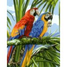 stramien papegaaien in regenwoud