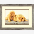 borduurpakket golden retriever pups