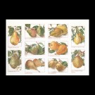 borduurpakket peren
