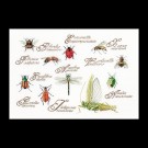 borduurpakket insekten
