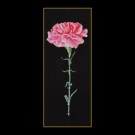 borduurpakket rose anjer op zwart